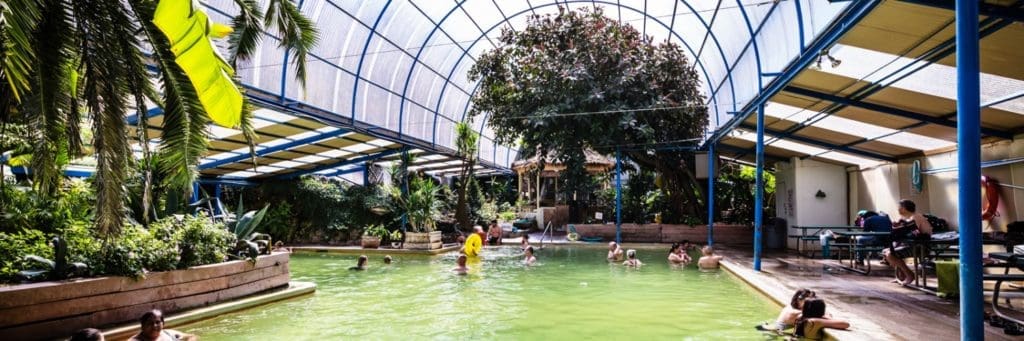 Panorama of indoor pool with glass roof and lots of trees inside, people swimming and lounging on side. 